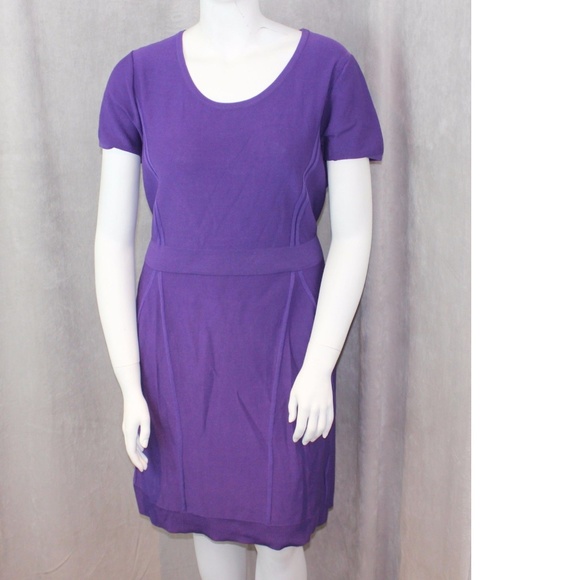 Lane Bryant Dresses & Skirts - Lane Bryant Stretch Dress Pullover Knit